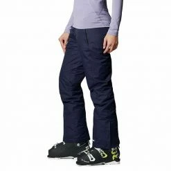 Women's Columbia Modern Mountain Insulated Snow Pants Grey Ash -Columbia Shop unnamed file 1554