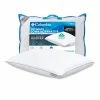 Columbia Down-Alternative Allergen Barrier Back Sleeper Pillow -Columbia Shop unnamed file 1596