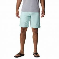 Men's Columbia Washed-Out Shorts City Grey -Columbia Shop unnamed file 2349
