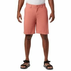 Men's Columbia Washed-Out Shorts City Grey -Columbia Shop unnamed file 2352